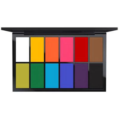 MAC | Pro Palette Paintstick X 12