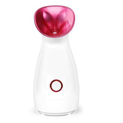 THE PORE COMPANY | The Porefect Skin Steamer