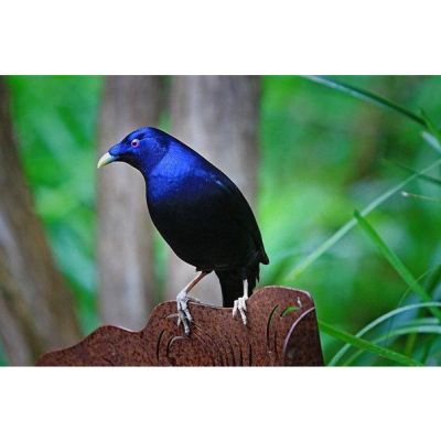 The Beauty Puzzle | Radiolab
Prepare to have your mind blown by this podcast ????